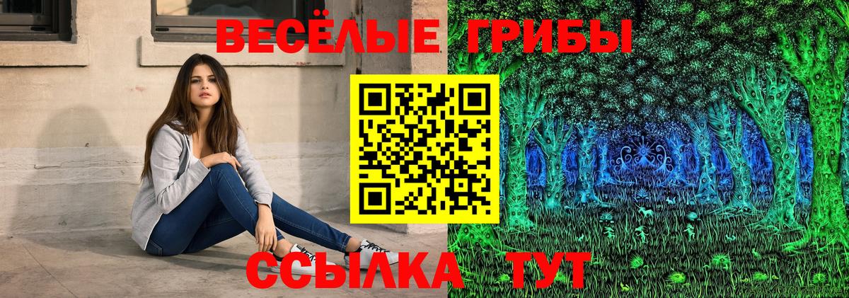 Кропоткин  Псилоцибиновые грибы мухоморы  Вход с VPN 