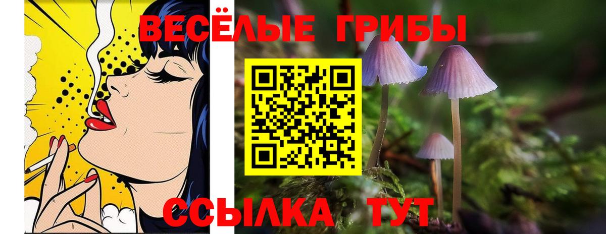 Псилоцибиновые грибы мухоморы Кропоткин